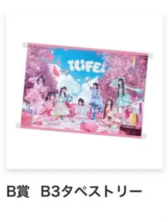 iLiFE! オンラインくじ ガラポンB賞 B3タペストリー