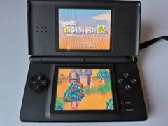 ニンテンドーDS Lite 本体 ゲームソフト付き