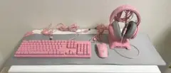【17日まで掲載】RAZER ピンク 5点セット