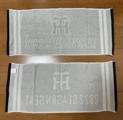【非売品】甲子園 2022阪神タイガースタオル2枚セット
