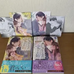 じゃない方、だけど愛され婚～契約婚の相手は一途すぎる社長