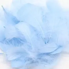 フェザーシャワー✨ライトブルー✨100枚