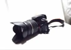 Item thumbnail for item 570fa4a5-4241-4c9e-a15b-948d95077ff3