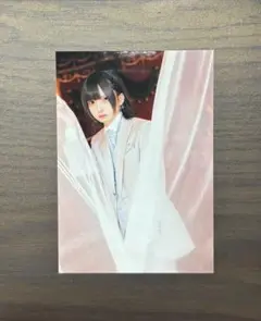 はうき　ブロマイド