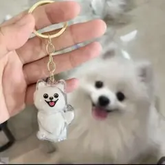 毛玉ボトル　犬　けだま　うちの子けだまだま　うちのこけだまだま　類似品