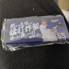中日ドラゴンズ 応援歌キーホルダー 細川成也