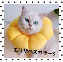 Item thumbnail for item 2b868910-1b92-4a74-9c2e-146ee4d3b013