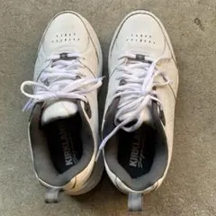 Item thumbnail for item c901149f-c70e-4eba-9aae-cd7f3e2ac9df