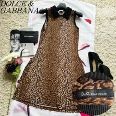 【美品】DOLCEu0026GABBANA スイムウェア ワンピース レオパード 襟