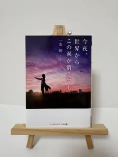 今夜、世界からこの涙が消えても 一条岬 小説