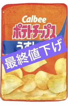 3WAYブランケット ポテトチップス【送料無料】