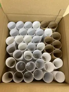 空き芯（トイレットペーパー等）多数