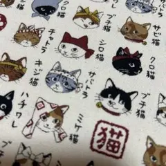 【オックスプリント】猫ちゃんオールスター ズ 約112×48cm