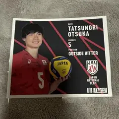 大塚達宣 全日本男子バレー ラベル缶 ステッカー