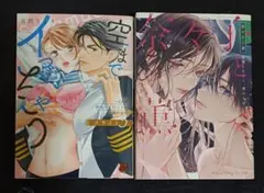 女性コミック 2冊セット