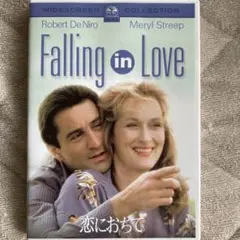 Falling in Love DVD 恋におちて
