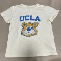 UCLA クマキャラクター Tシャツ　130センチ