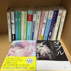 小説まとめ売り 17冊セット　ダブル