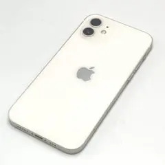 Apple iPhone12 64GB ドコモ 判定〇 SIMロックなし