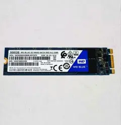 WD Blue WDC 500GB M.2 SATA SSD 【動作確認済】
