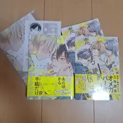 カタコイシーソー　恋する絶滅危惧種