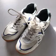 スポーツシューズ 体育館シューズにも ホワイト/ブルー　24.5センチ　きれいめ