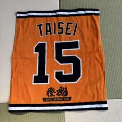 TAISEI 15 応援タオル