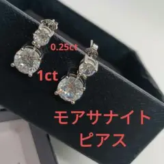 Item thumbnail for item 66bfec69-eb13-485d-8e14-36f724bd3d91