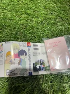 ホットギミック ガチャ ミニチュア
