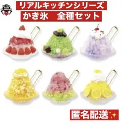 リアルキッチンシリーズ ふわふわかきごおりBC 全6種コンプセット かき氷