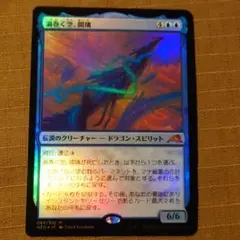 MTG 渦巻く空、開璃 foil Amazon.co.jp: mtg foil 日本語 NEO 渦巻く空、開璃/Kairi, the