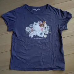 ユニクロ　PAUL & JOE コラボTシャツ 150