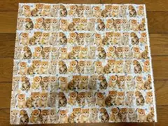 70.ねこ