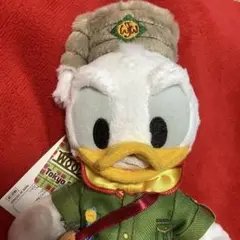 レア？　ディズニー　キャンプウッドチャック　ドナルドダック