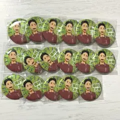 ハイキュー 澤村大地 思い出シャイニー缶バッジ 17個セット