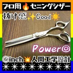 Item thumbnail for item 20e43c79-cdf0-4a95-9d87-f5f544d3bc06