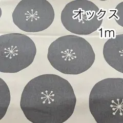 ラスト 1m あんぱんドット グレードット オックス