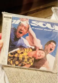ドリームズカムトゥルーズ グレイテストヒッシ CD2枚セット thesoul