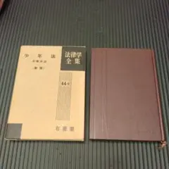 「新版 少年法 (新版)」 平場 安治