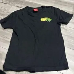 Habu Box 視力検査デザイン Tシャツ 130