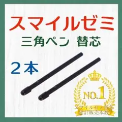◎最短即日発送◎【保証付】スマイルゼミ タッチペン 替芯 2本セット gqq