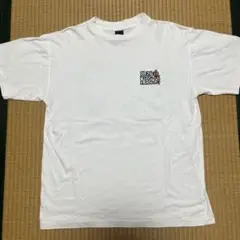 レア　stussy flesh classic tシャツ