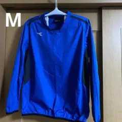 サッカーピステ上青