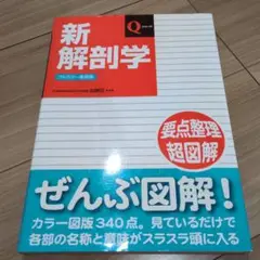 新解剖学 フルカラー新改訂版
