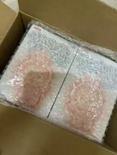 【専用解除・早いもの勝ち！】Labubu Big into Energy 2箱