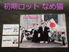 2025年最新】下敷き なめ猫の人気アイテム - メルカリ