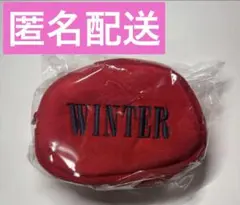 aespa To MY WORLD ペンミ ミラー付きポーチ ウィンター