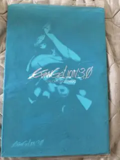 EVANGELION ヱヴァンゲリヲン新劇場版:Q パンフレット ネタバレ注意