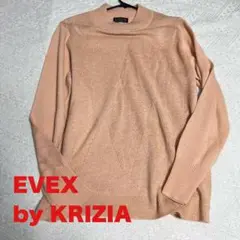 EVEX by KRIZIA 薄ニット　40表記レディースL エヴェックス