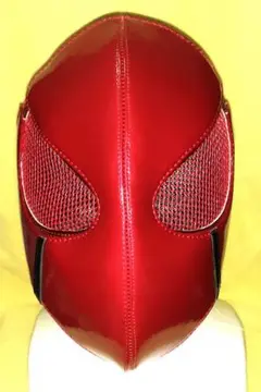 オリジナルデザイン プロレス マスク
